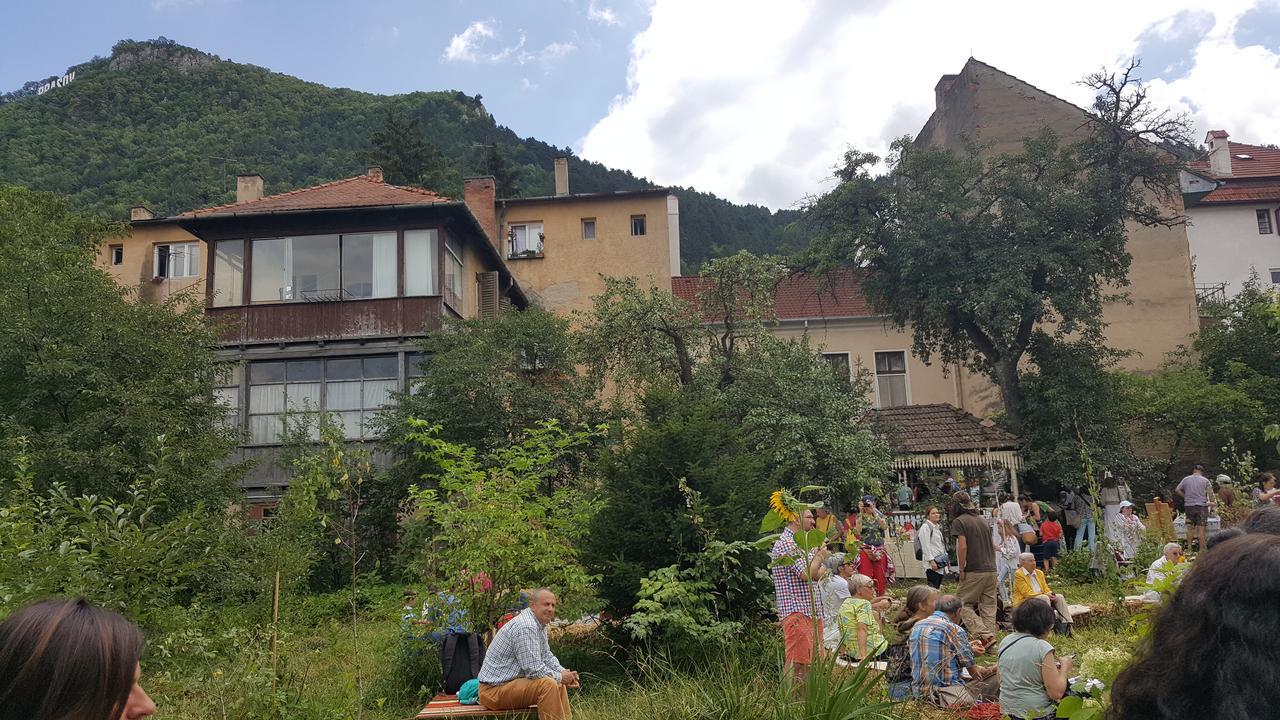 布拉索夫 Mountain Tale旅舍 外观 照片