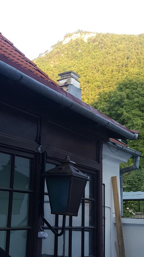 布拉索夫 Mountain Tale旅舍 外观 照片