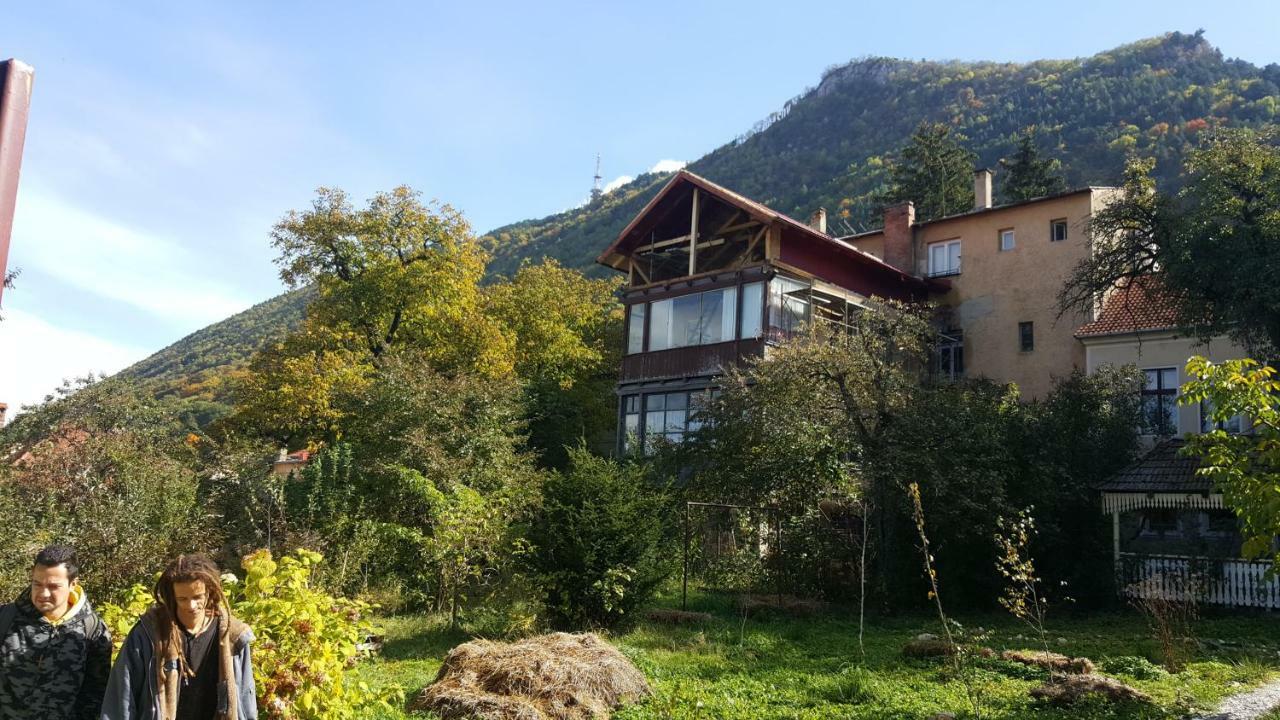 布拉索夫 Mountain Tale旅舍 外观 照片